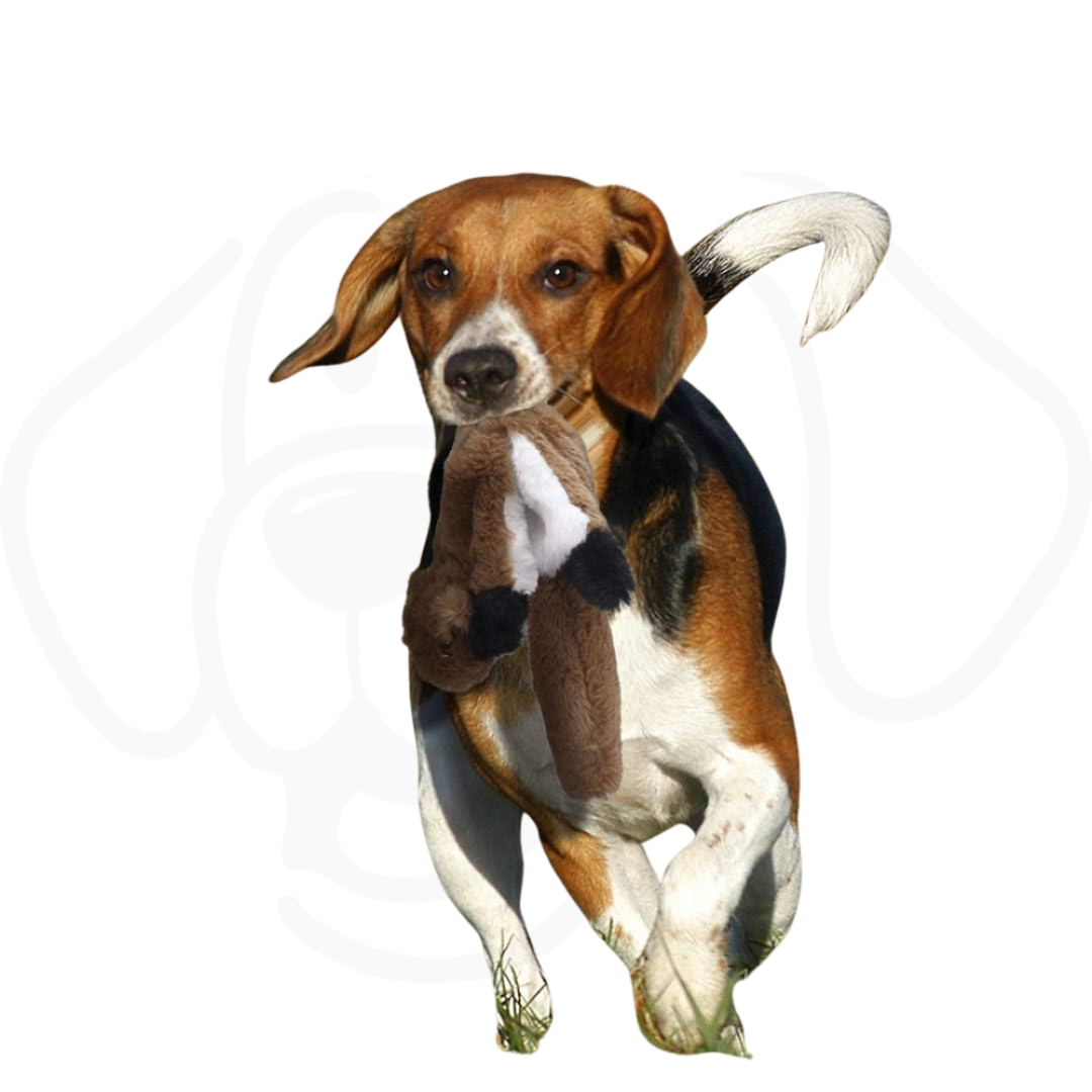 5 Pack Dog Squeaky Toys – No Stuffing Plush Crinkle Dog Chew Toys for Medium & Large Dogs