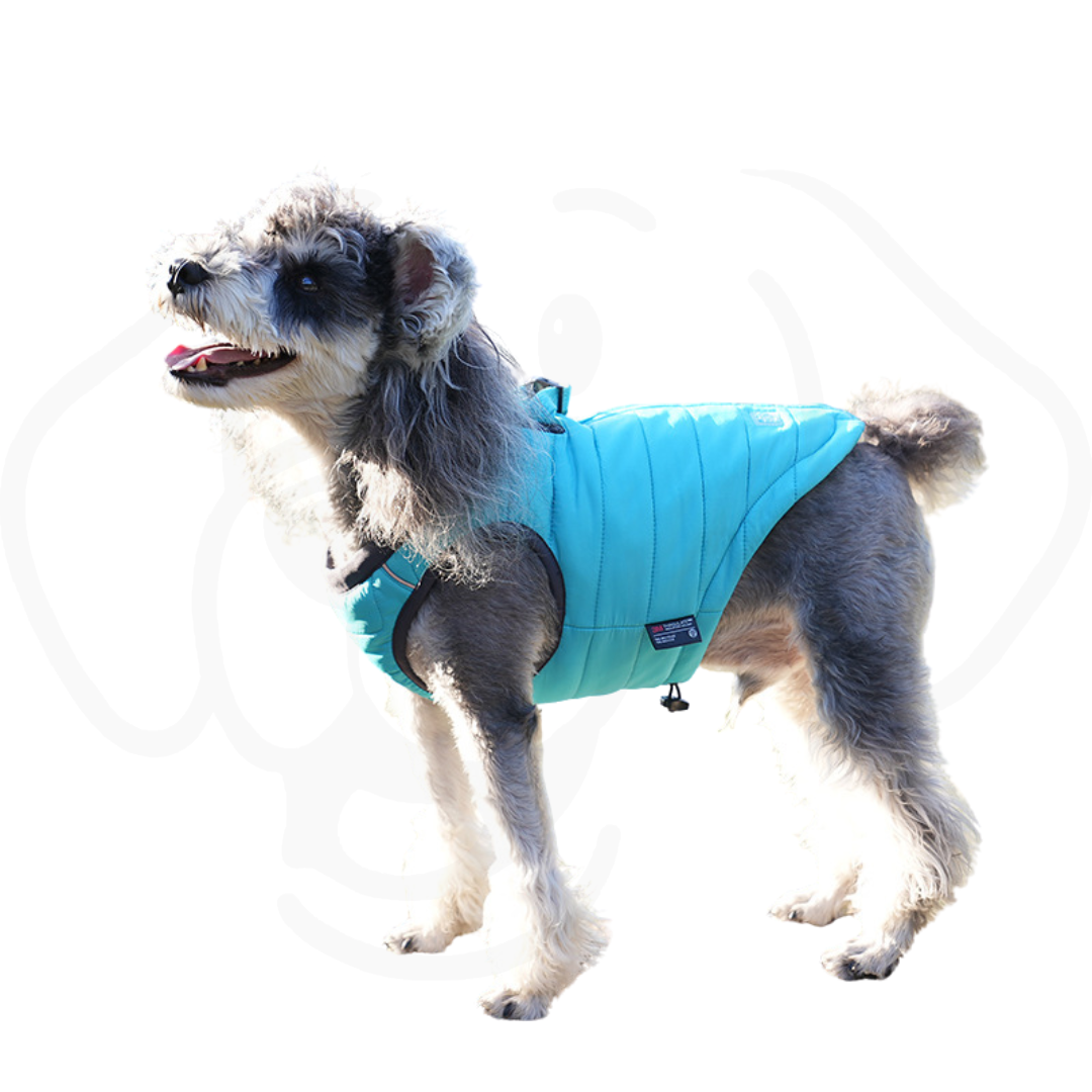 Puffy Winter Dog Vest | Down Cotton-Padded Jacket with Rotating Buckle & Zipper