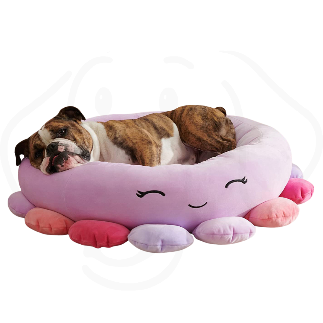 Squishy Plush Beds