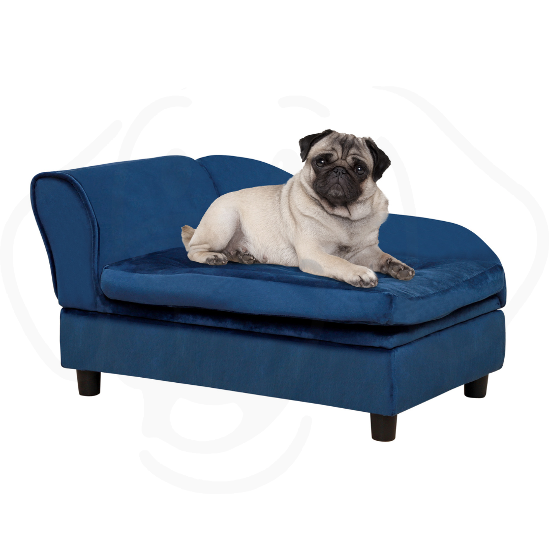 Blue Luxury Small Dog Sofa Bed with Hidden Storage Luxury Small Dog Bed With Hidden Storage